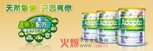 Adapta���׃��̷� ��I(y��ng)�B(y��ng)���P(gu��n)��(��i)