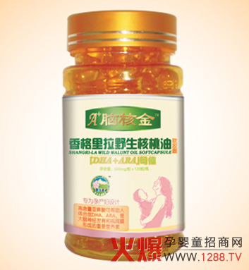 A+�X�˽�Ұ���ЙC(j��)������ܛ�z���ЋD������