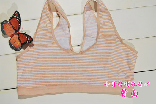 ʮ����ǰ�������_ʽι������