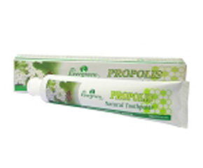 Evergreen��ͯ����