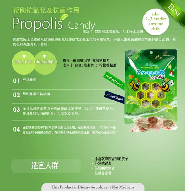 Evergreen���z��