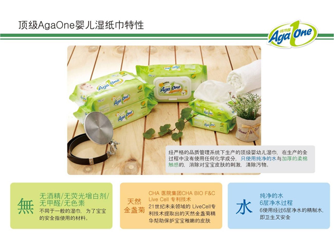 AgaOne���׃����