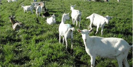 ����������Դ����������������������