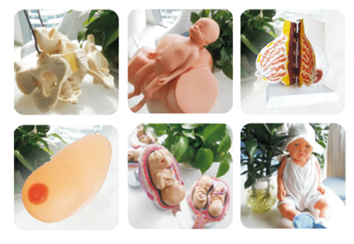 �옷�����ЋD�W(xu��)У�̌W(xu��)�þ�