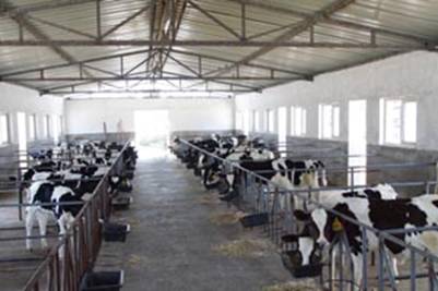 ��ţ���e�\�Ӆ^(q��) 