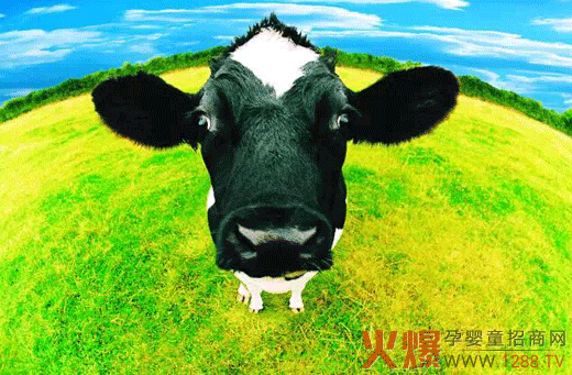 ������I(y��)������ȫ�a(ch��n)���� ȫ�Ğ錚������