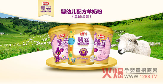 ������ʲô���ۺȺ��ϻ������̷���