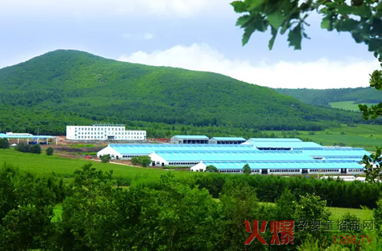 �l(f��)չ��(sh��)�w��(j��ng)��(j��)�����_(d��)ɽ���Є�(d��ng)��