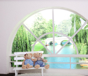 ���������ƺ�Ո�չʾ