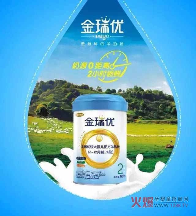 ���̷�+OPO�����ж����