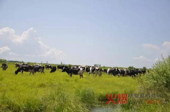 ���_(d��)ɽ�̷۞�Ε�(hu��)�ܵ��@ô���˵�ϲ����