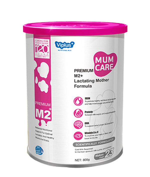  �S�ۼ�M2+�����������̷�