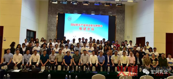 ����ף�R���K�x��(d��ng)�x���H����a(ch��n)�I(y��)�f(xi��)��(hu��)��̫����(hu��)�����L