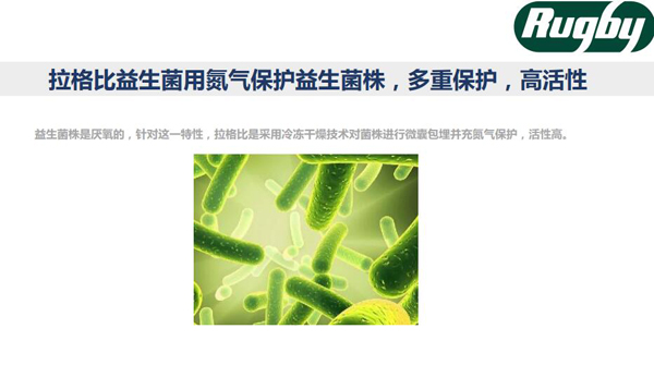 拉格比益生菌滴液優(yōu)勢(shì)10.jpg