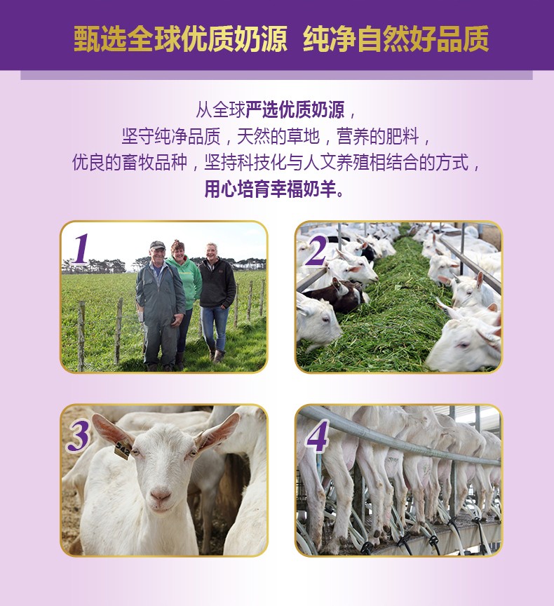  �����׃��䷽���̷ۣ�12-36���g��3�Σ�_03