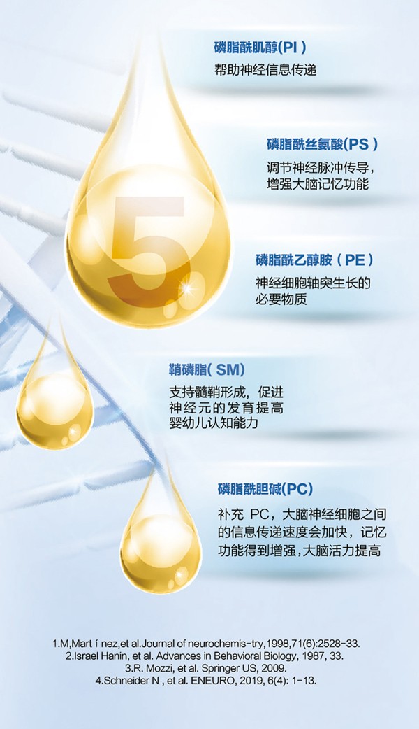   ؐ������Խ�׃��䷽�̷�(12-36���g��3��)4