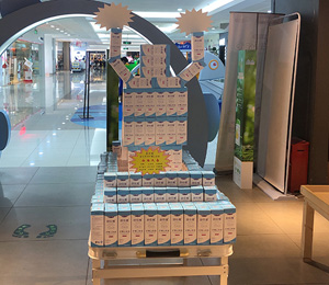  �(l��)�S�K���T(m��n)������չʾ8