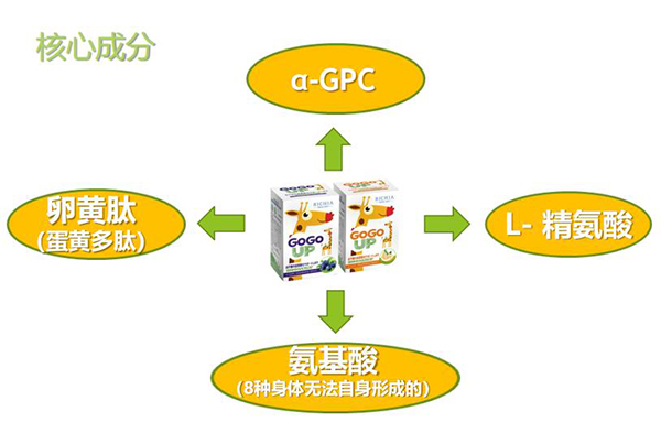 GOGOUP�䷽�I�B(y��ng)�a�䄩��ʲô���c���������