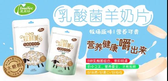 ����������Ƭ��������ʲôħ����������