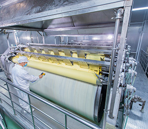  ��������S31