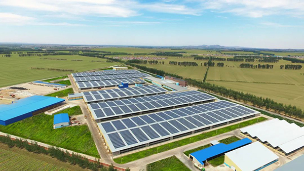 Խ���xɽ�����Ї��r(n��ng)����I(y��)(li��n)�� �˄�(sh��)�������Ƹ��|(zh��)���l(f��)չ6.jpg