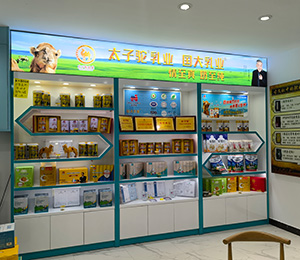  չ��(hu��)�F(xi��n)��(ch��ng)13