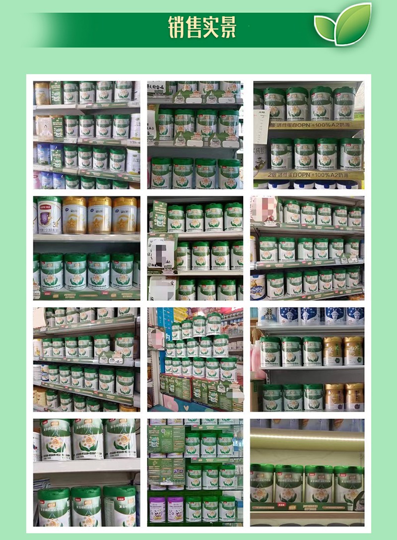  ؐ���������̏�(f��)�����r���䷽�̷�Ԕ��D20