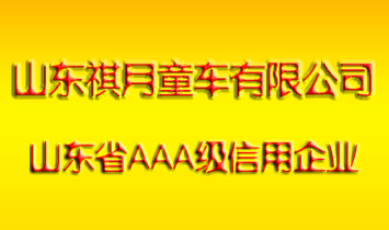 ɽ�|����ͯ܇���޹�˾