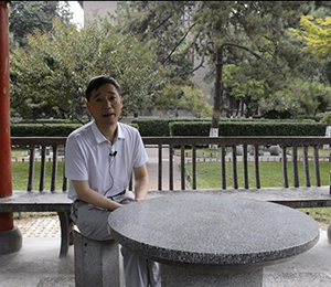 ���Ќ���-������ ����