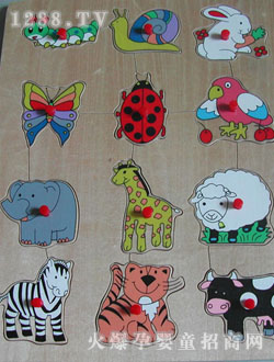 ����������D��ƴ�D