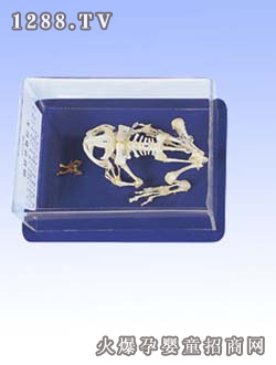 �����ܹ�����(bi��o)��