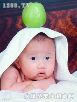 �O(p��ng)���f�@���������x����