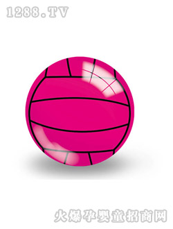 ���Z���pӡ������