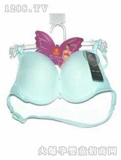 ���S�{(l��n)ɫӾ������