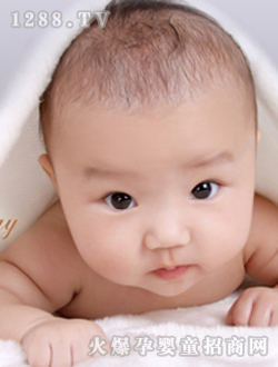 Λρ���󌚌���Ƭ