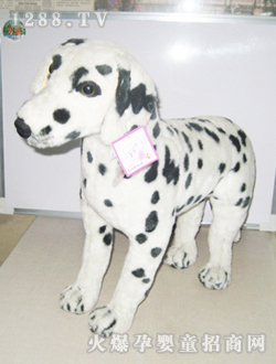 ����34#������