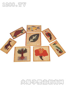 ���ݸ��(l��i)��(d��ng)ֲ��Ƕ��