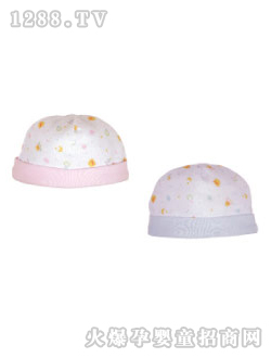 �SɫС��̫��С��ñ