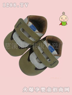 Ģ�����ˌ����W(xu��)��ЬZX9509