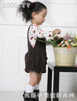 �ƿ��������b6