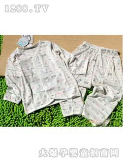 ����ؐ�ȋ냺���w�S��(n��i)��