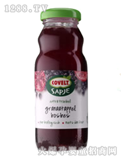 ��ݮ��ݮ�t���ЙC˼Ľ