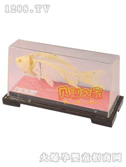 ؐ�~������(bi��o)���̾�