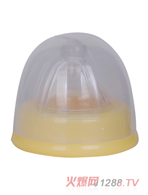 ����������ڏ����w