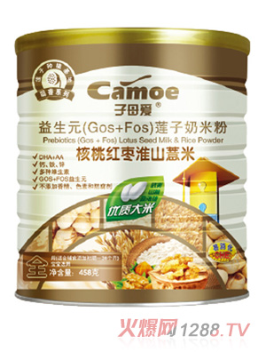 ��ĸ�ۋ�������Ԫɏ�����׷�