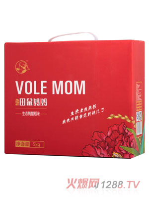 ���󋌋����B(t��i)���׼�ͥ�b