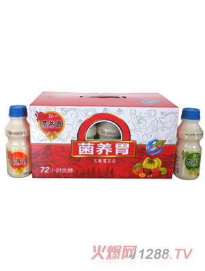 �y�� ԭ���B(y��ng)θ ���b �tɫ