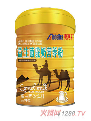 ��ؐ����������̠I(y��ng)�B(y��ng)��