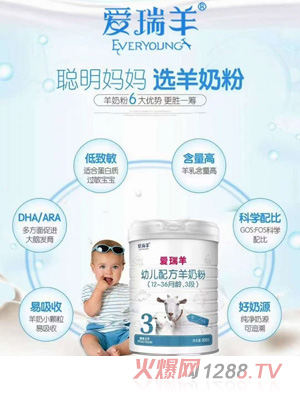 愛瑞羊youe配方羊奶粉（12-36月齡，3段）