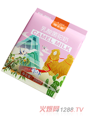 ��С��������� ���b